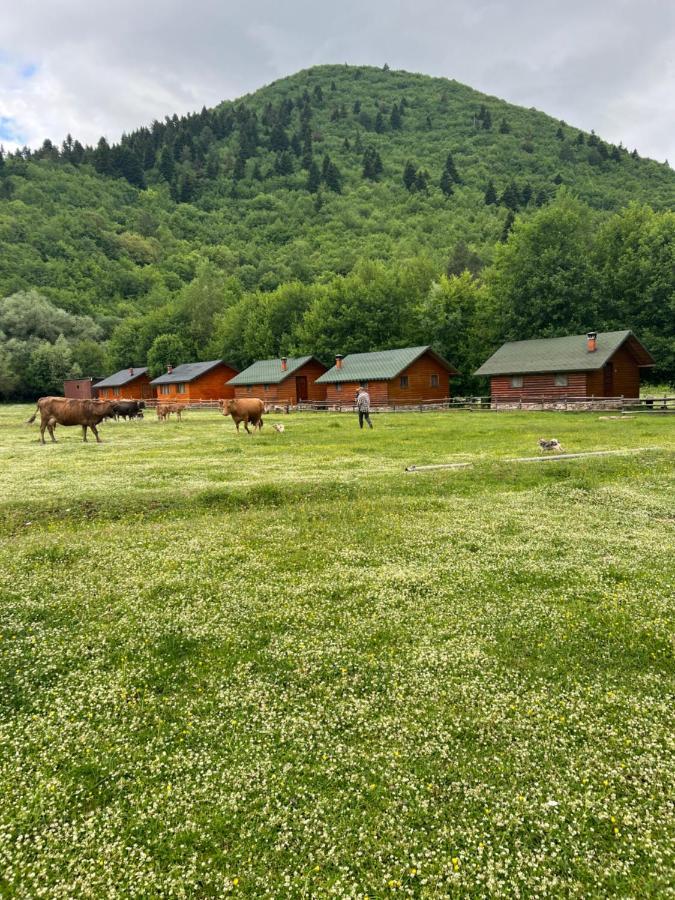 Farma Sotira Hotell Leskovik Exteriör bild